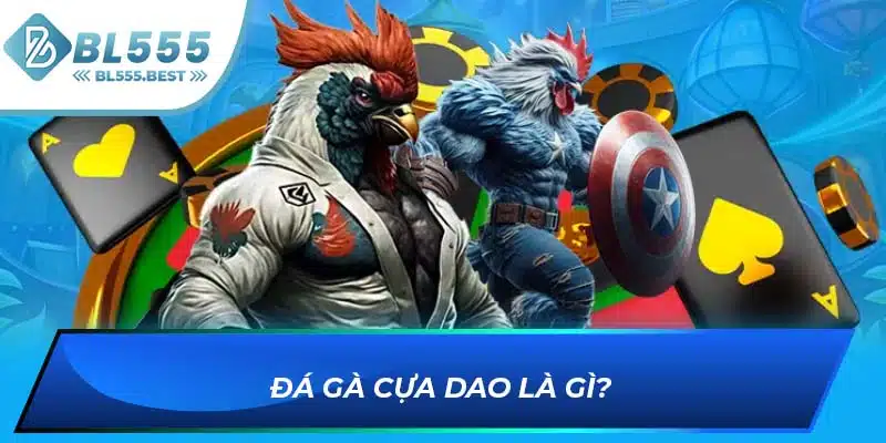 Đá Gà Cựa Dao - Siêu Phẩm Giải Trí Cực Kịch Tính Tại BL555 5 Đá gà cựa dao là gì?