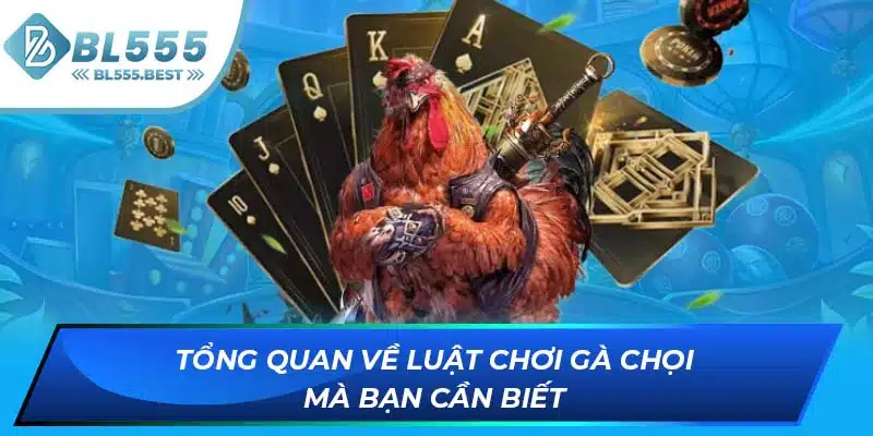 Cẩm Nang Kiến Thức Luật Chơi Gà Chọi Từ Chuyên Gia BL555 5 Tổng quan về luật chơi gà chọi mà bạn cần biết