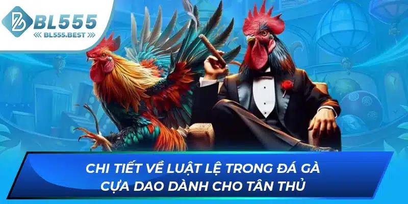 Đá Gà Cựa Dao - Siêu Phẩm Giải Trí Cực Kịch Tính Tại BL555 6 Chi tiết về luật lệ trong đá gà cựa dao dành cho tân thủ