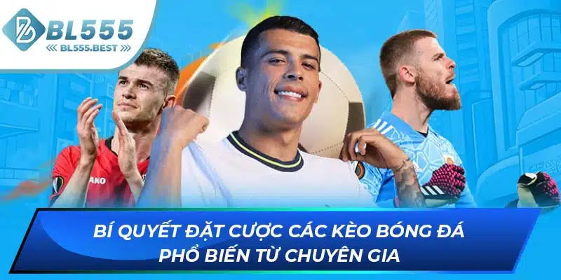Các Kèo Bóng Đá Phổ Biến Mà Bạn Có Thể Tham Gia Tại BL555 7 Bí quyết đặt cược các kèo bóng đá phổ biến từ chuyên gia