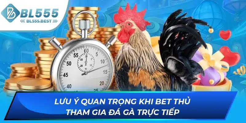 Đá Gà Trực Tiếp - Loại Hình Giải Trí Hấp Dẫn Tại BL555 7 Lưu ý quan trọng khi bet thủ tham gia đá gà trực tiếp